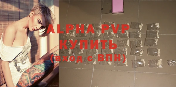 прущие грибы Каменск-Шахтинский
