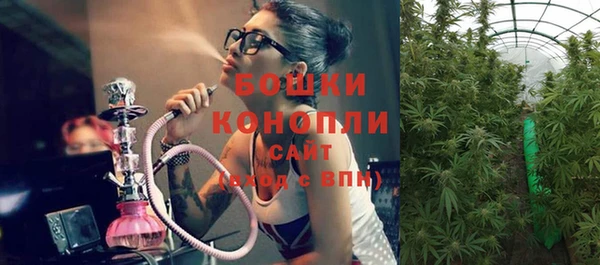 первитин Карпинск