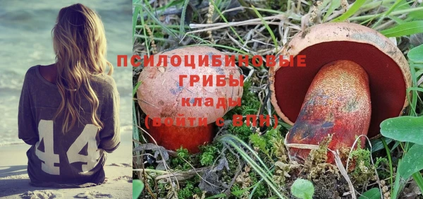 не бодяженный Касимов