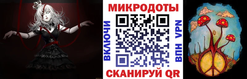 Купить где Кыштым Псилоцибиновые грибы MAGIC MUSHROOMS